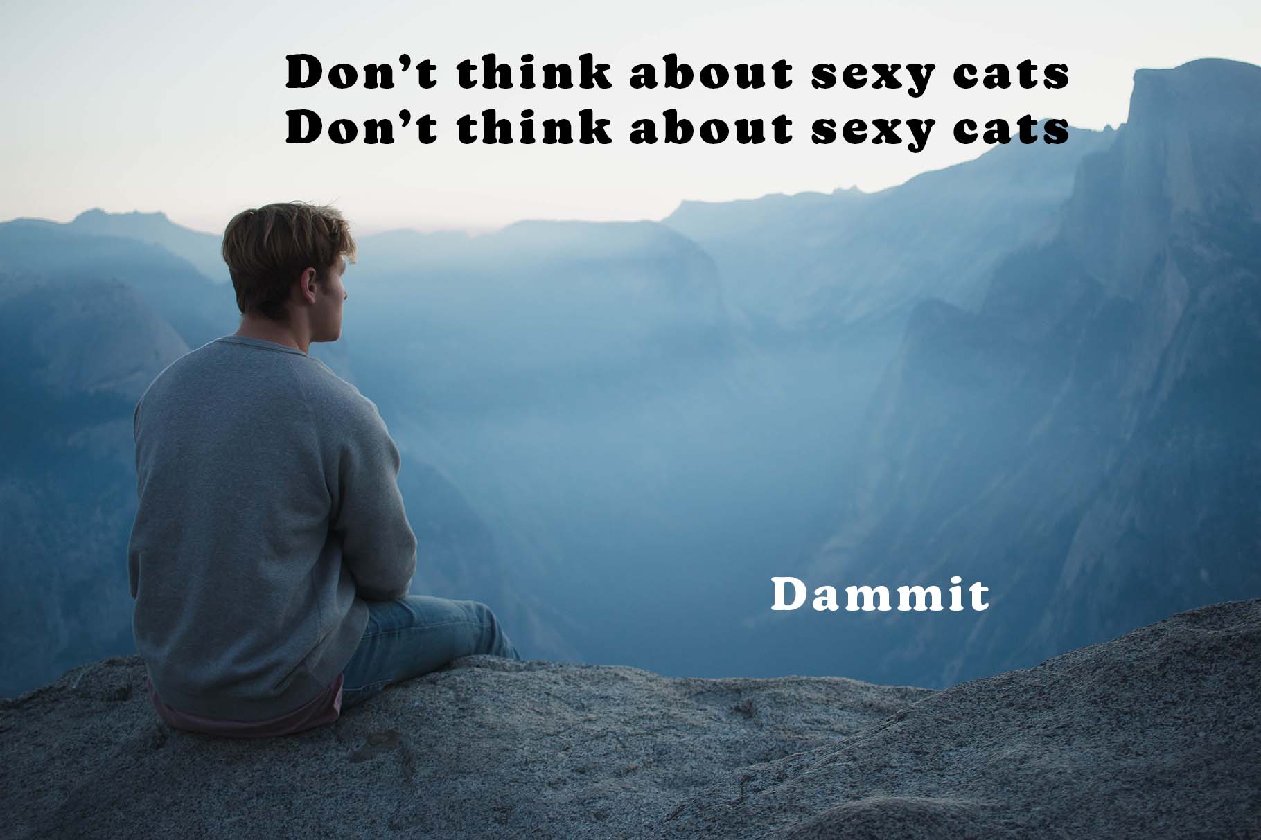 A man tries and fails to not think about sexy cats