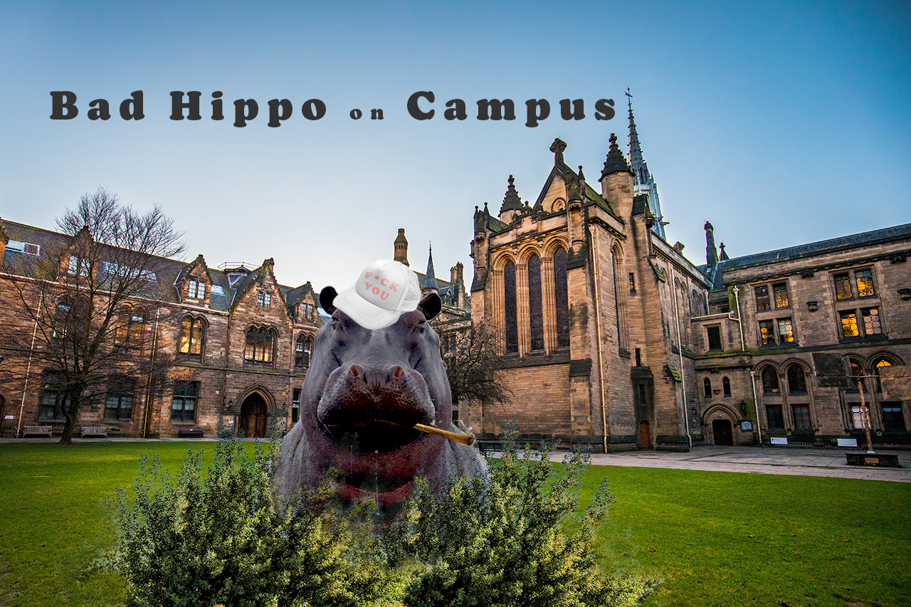 A hippo on a college campus, smoking drugs and wearing profane clothing.