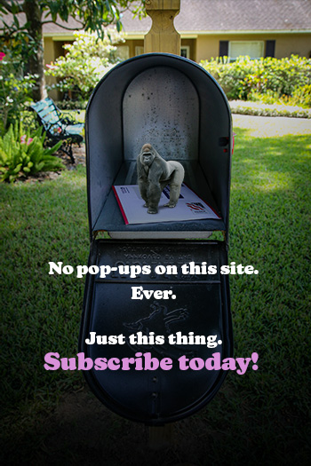 An ad for the newsletter